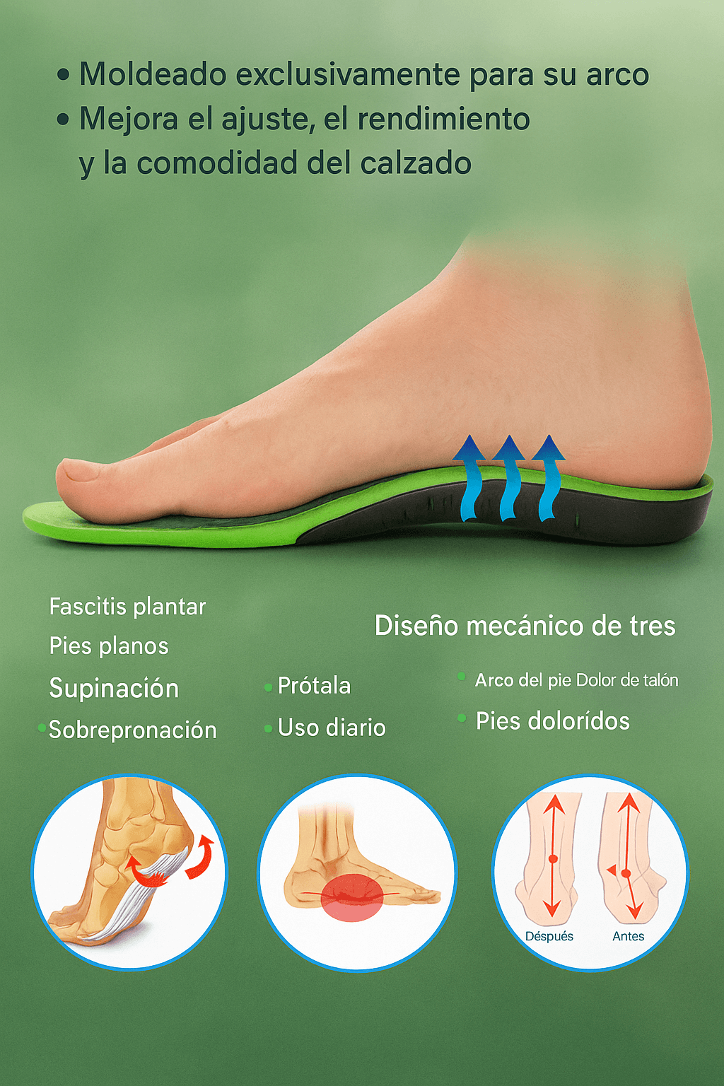 PLANTILLA ORTOPEDICA COMFORT |°